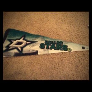 Dallas stars flag signed by klingberg3,backstrom1